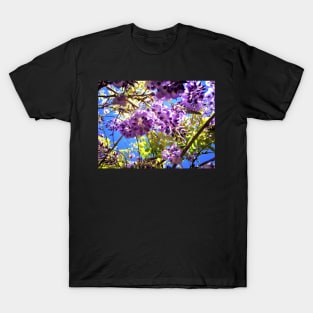 Wisteria in the Summer T-Shirt